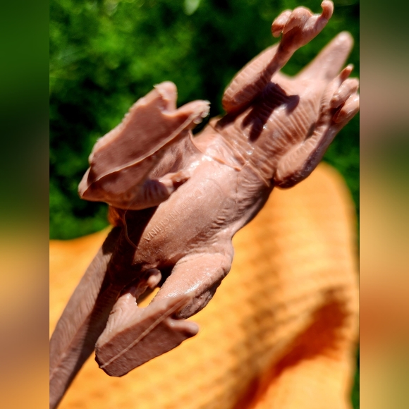 Velociraptor Dinosaur Solid Plastic Educational Toy. 7"L x 4"H. - Picture 3 of 4